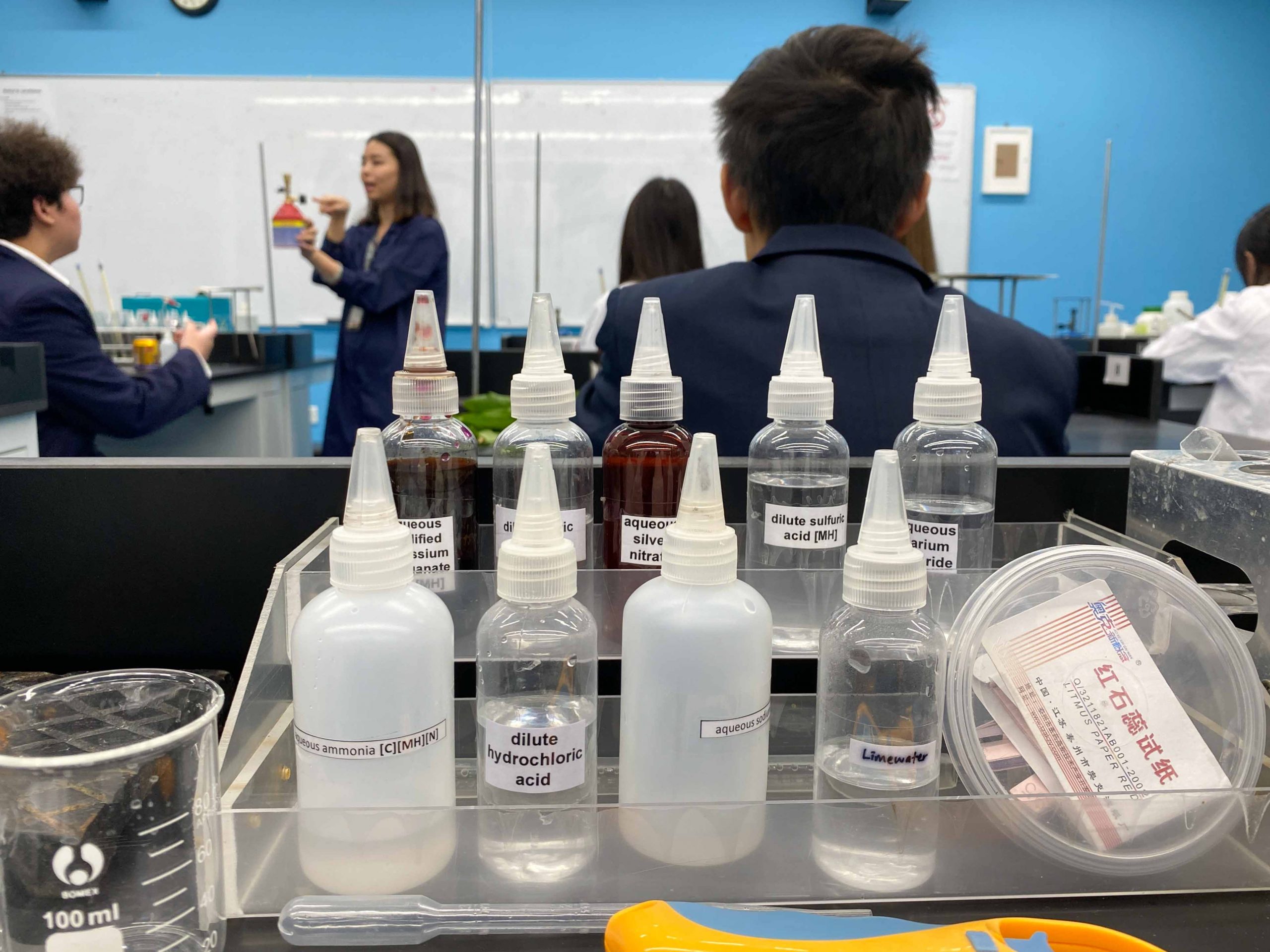 Chemistry Lab Activity: Pigment Extraction