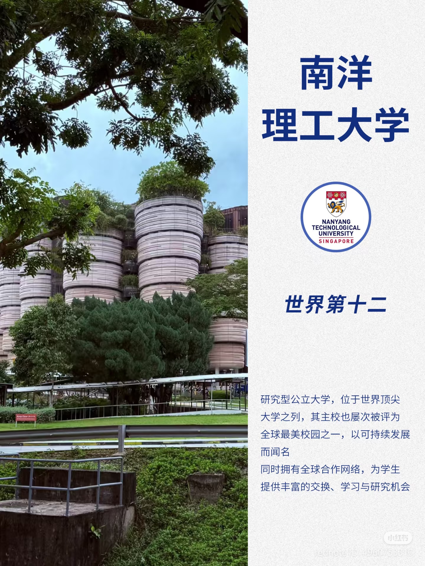 新加坡&澳洲名校招生官面对面｜高中转轨速进