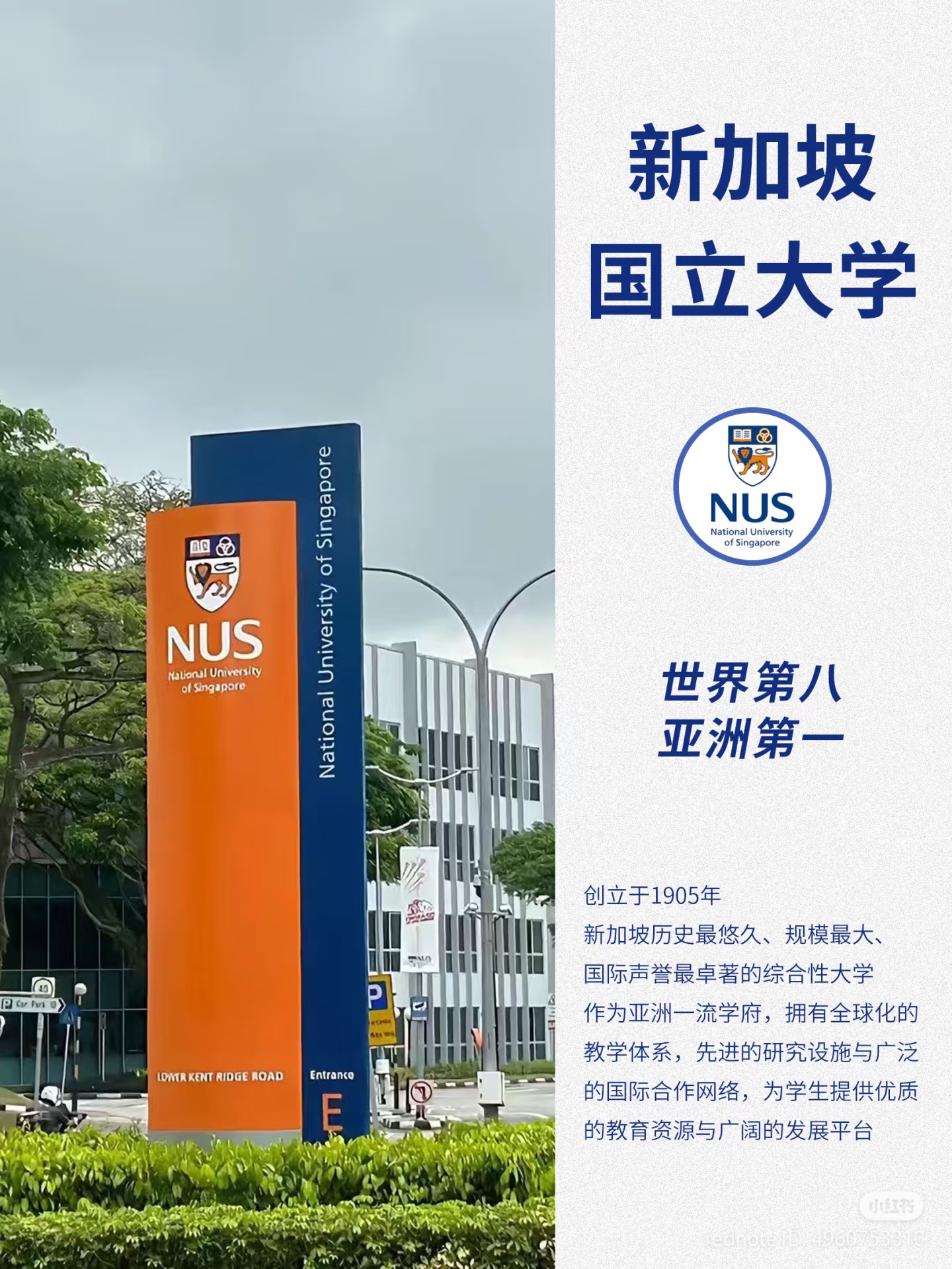 和新国立NUS大学招生官交流｜高中转轨